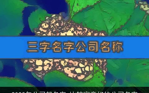 2024年公司起名字 比较寓意好的公司名字