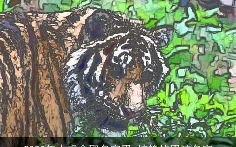 2024年水虎命取名字男 惊艳的男孩名字