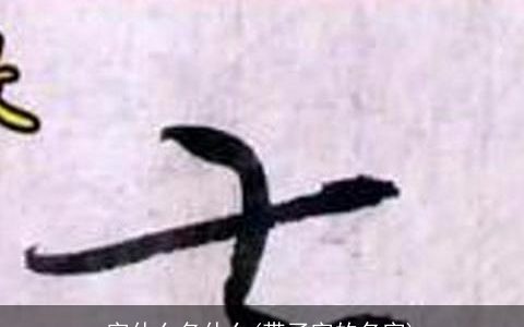 字什么名什么(带了字的名字)