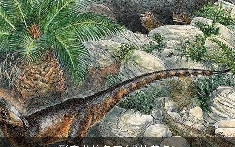 形容龙的名字(龙的美名)