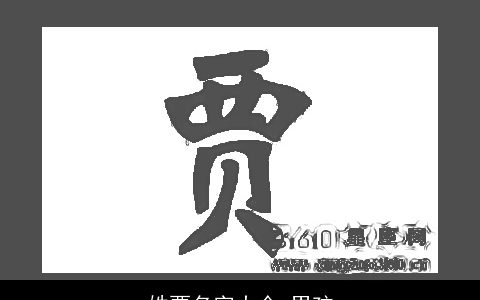 姓贾名字大全 男孩