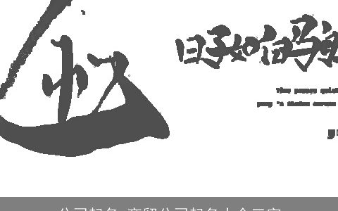 公司起名 商贸公司起名大全三字