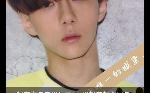 想字在名字里的意思(用想字起个网名)