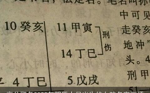 高分取名2023年阴历十月出生的女孩名字测评