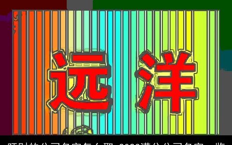 旺财的公司名字怎么取 2023满分公司名字一览