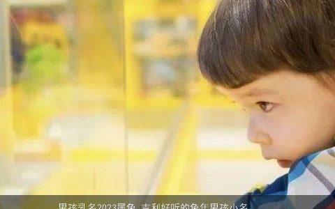 男孩乳名2024属兔 吉利好听的兔年男孩小名大全 吉利好听的男孩乳名虎男孩小名名字大全筛选