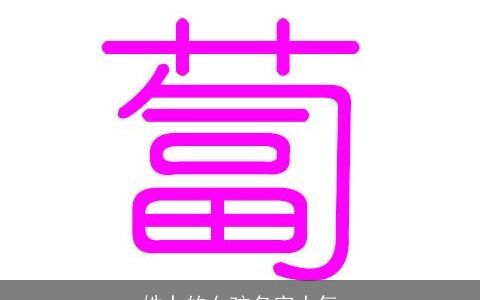 姓卜的女孩名字大气