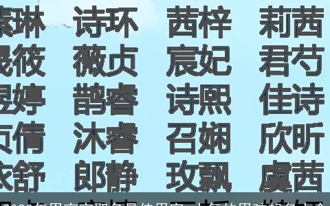 2023年男宝宝取名最佳用字 大气的男孩起名大全