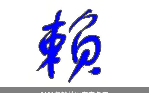 2024年赖姓男宝宝名字