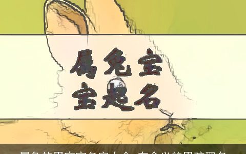 属兔的男宝宝名字大全 有含义的男孩取名