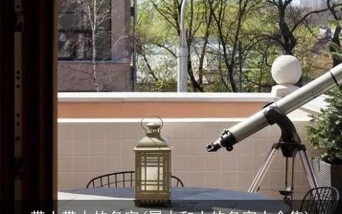 带土带木的名字(属木和土的名字大全集)