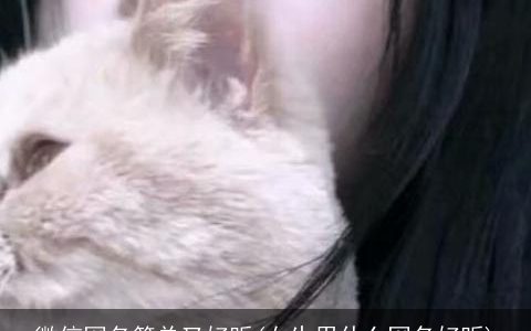 微信网名简单又好听(女生用什么网名好听)