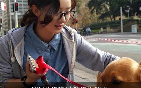 明星的狗狗(喜欢狗的明星)