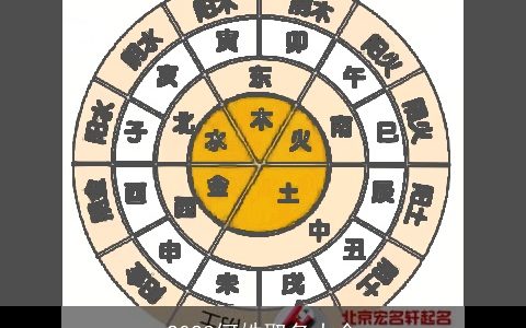 2024何姓取名大全