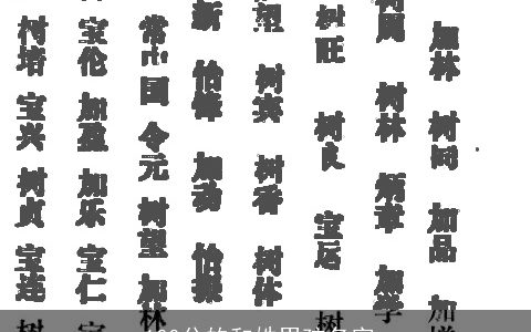 100分的和姓男孩名字_