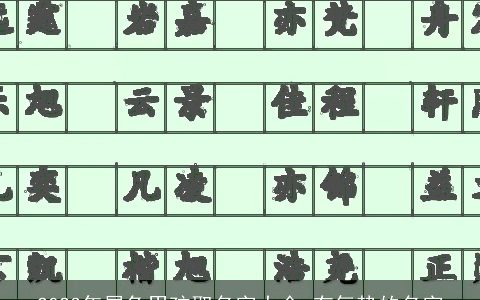 2024年属龙男孩取名字大全 有气势的名字