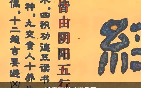 段安雍周易测名字