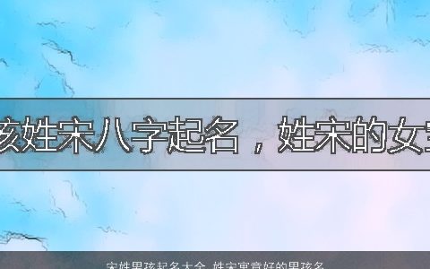 宋姓男孩起名大全 姓宋寓意好的男孩名字 2024好听寓意的宋姓男孩名精选