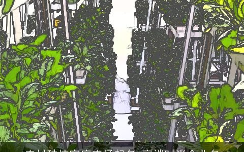 农村种植家庭农场起名 高端时尚企业名