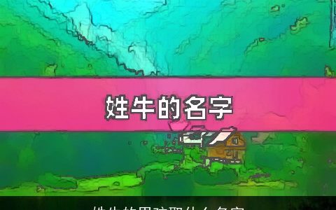 姓牛的男孩取什么名字
