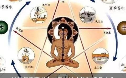 2024年春节出生的五行缺土男孩取名大全