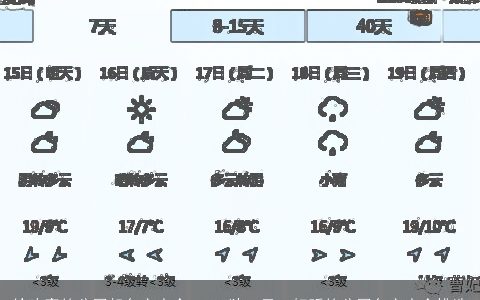 给响亮的公司起名字大全 2024独一无二好听的公司名字大全挑选