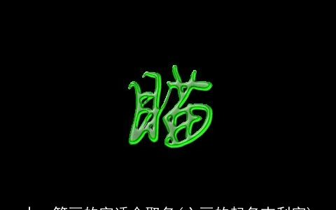 十一笔画的字适合取名(六画的起名吉利字)