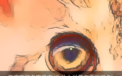 龙宝宝取名宜用字(为什么说昊字不能取名)