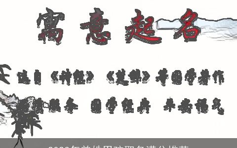 2023年曾姓男孩取名满分推荐
