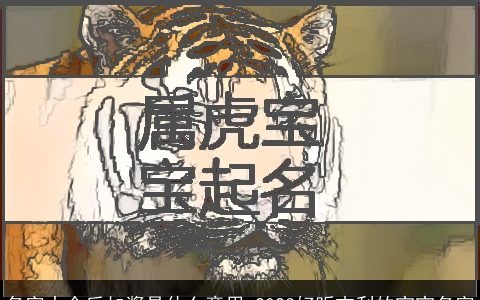 名字大全后加酱是什么意思 2024好听吉利的宝宝名字