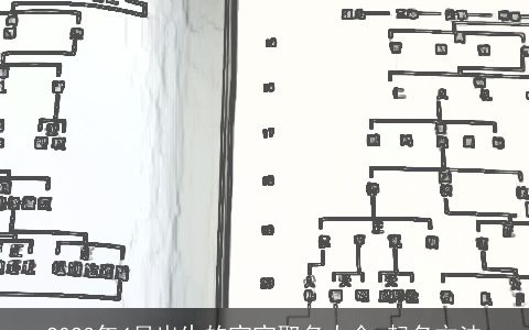 2024年4月出生的宝宝取名大全 起名方法
