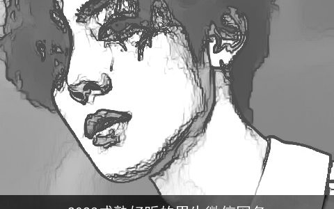 2024成熟好听的男生微信网名