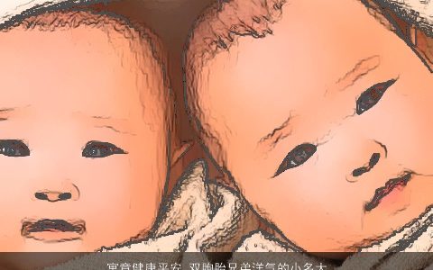 寓意健康平安 双胞胎兄弟洋气的小名大全 寓意洋气的双胞胎小名名字大全最新