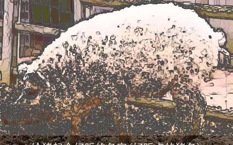 给猪起个好听的名字(好听点的猪名)