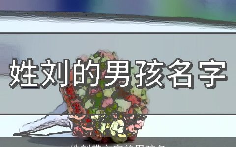 姓刘带文字的男孩名