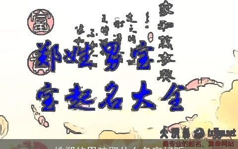 姓郑的男孩取什么名字好听