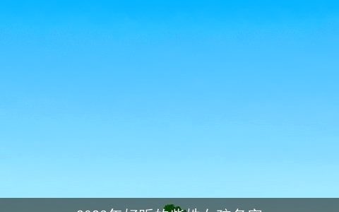 2024年好听的柴姓女孩名字