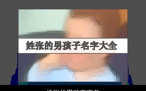 姓张的男孩宝宝名