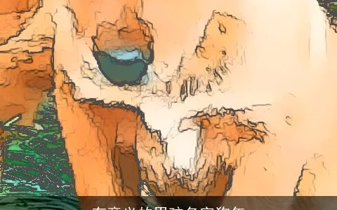 有意义的男孩名字狗年