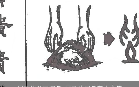 属龙的公司取名 属龙公司名字大全集