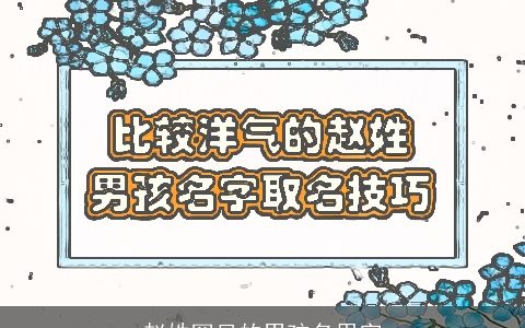 赵姓罕见的男孩名用字