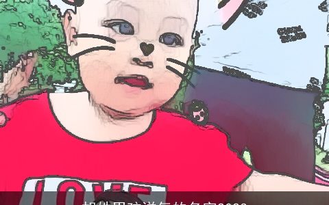 胡姓男孩洋气的名字2023