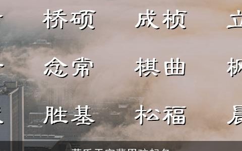 蒋氏天字辈男孩起名