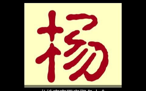 龙姓宝宝四字取名大全