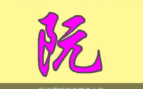 阮姓男孩起名简单大气