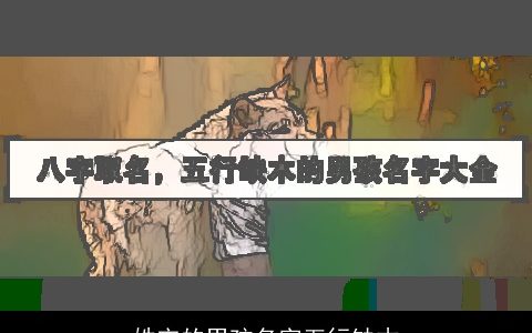 姓宋的男孩名字五行缺木