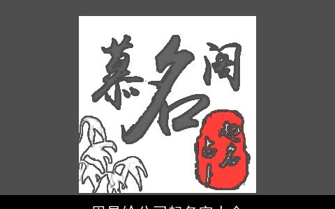 周易给公司起名字大全