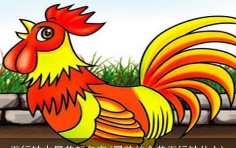 五行缺火属羊起名字(属羊的金羊五行缺什么)