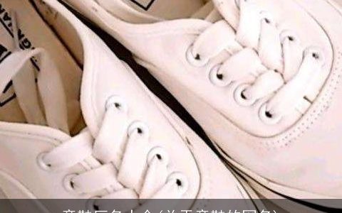 童鞋厂名大全(关于童鞋的网名)