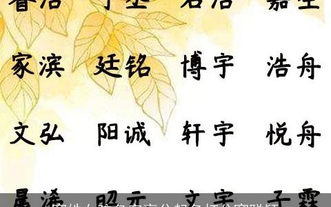 窦姓女孩名字高分起名打分窦聪颖